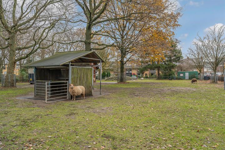 Bekijk foto 5 van Lepelaarplantsoen 151