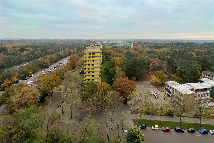 Bekijk foto 22 van Laan van Vollenhove 246