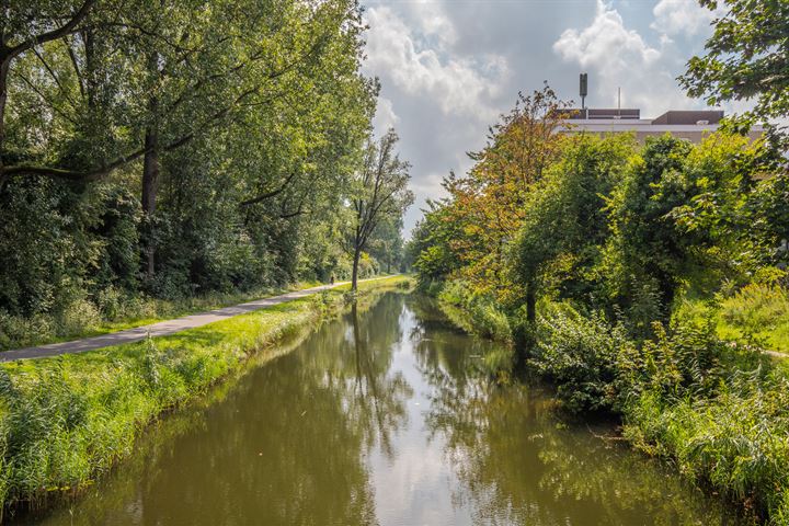 Bekijk foto 19 van Groningensingel 983