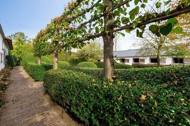 Foto 23 van Hoeven 1