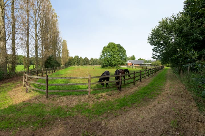 Foto 28 van Hoeven 1