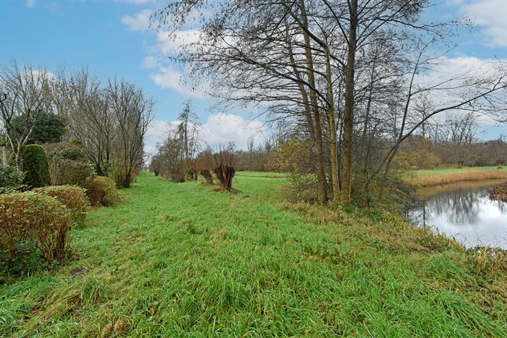 Bekijk foto 36 van Scholekster 44