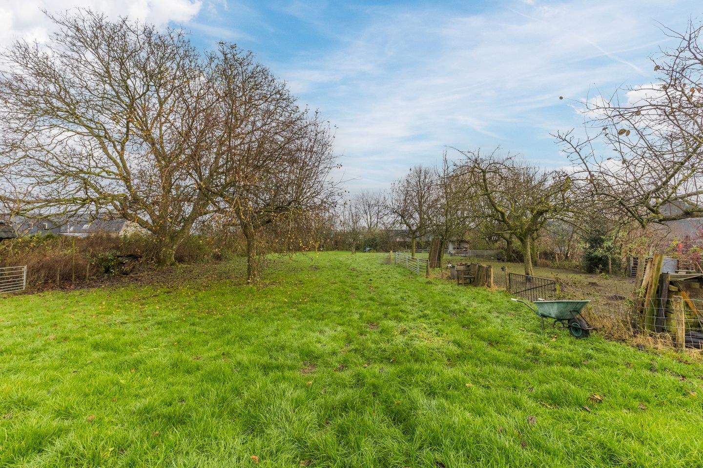 Foto 5 van Vogelenzangseweg 21