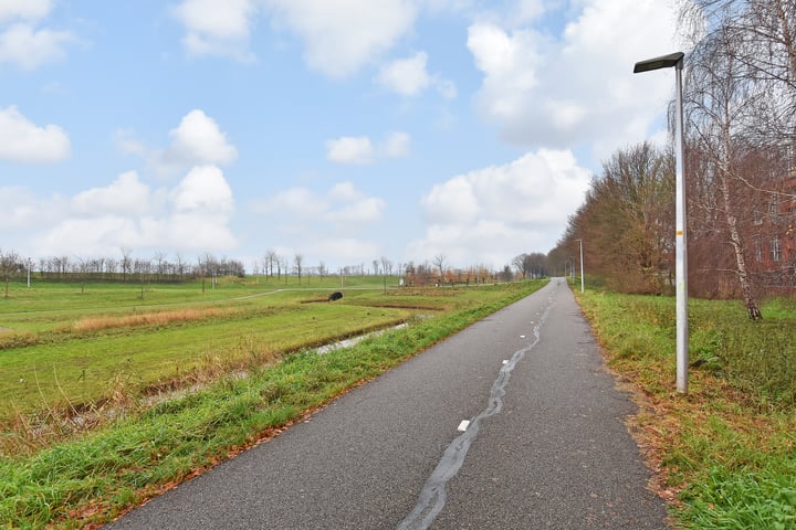 Bekijk foto 25 van Koegelwieckplantsoen 71