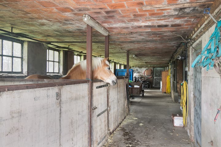 Photo 41 of De Singel 37