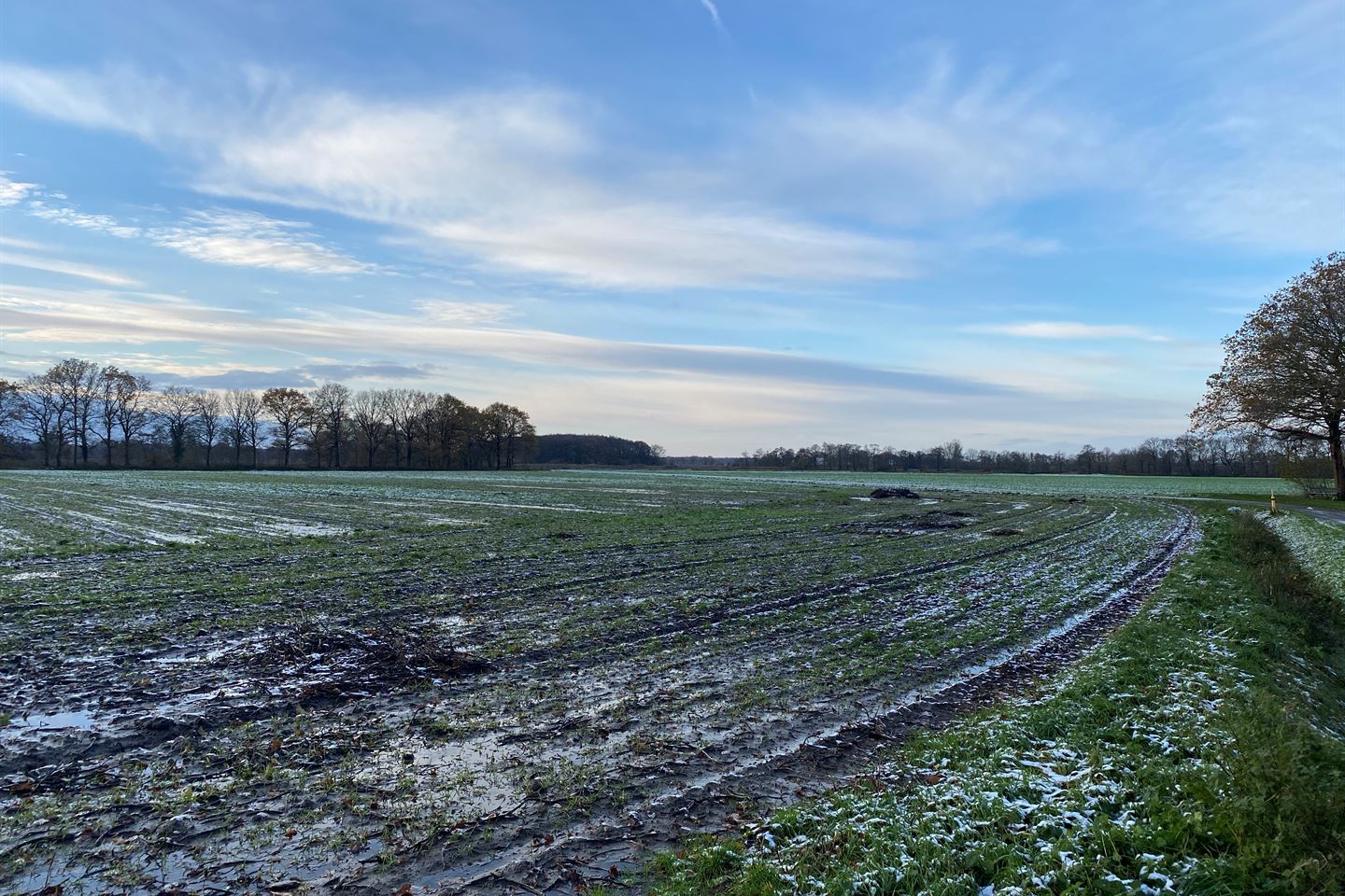 Bekijk foto 4 van Eleveld