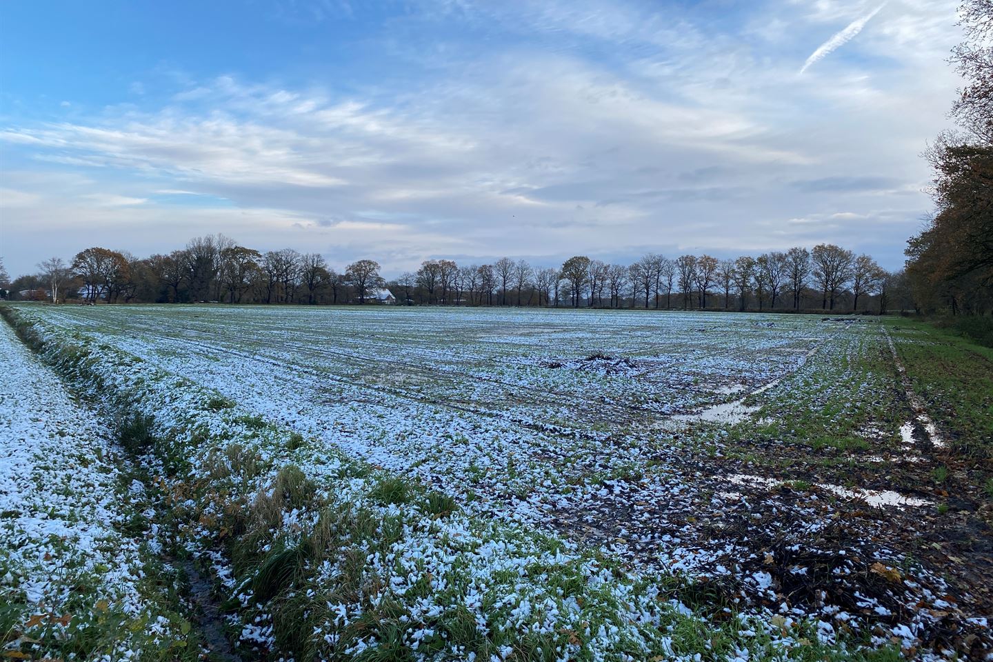 Bekijk foto 5 van Eleveld