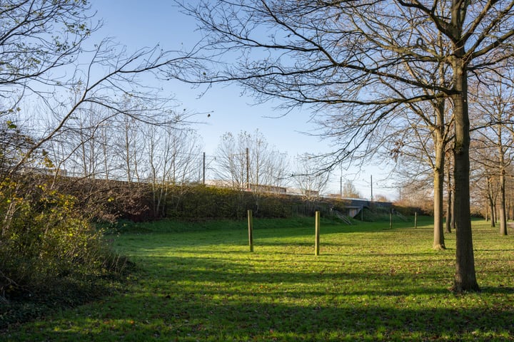 Bekijk foto 35 van Eikenstraat 50