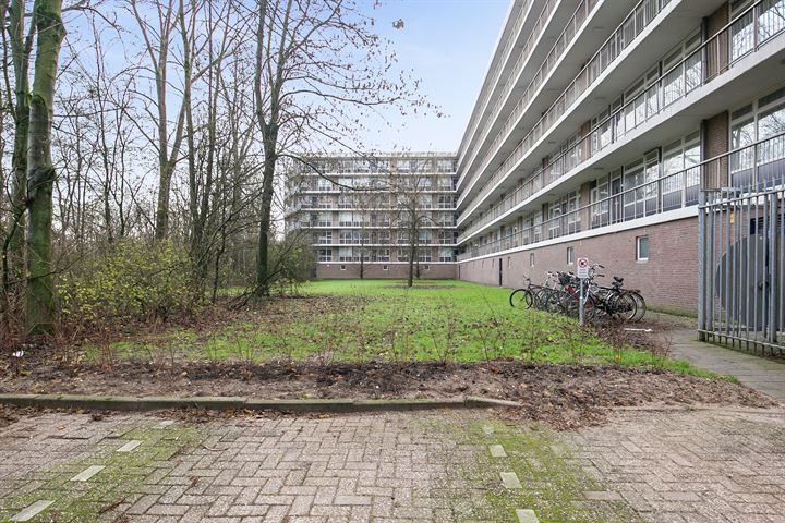 Bekijk foto 32 van Kraaiensteinlaan 7