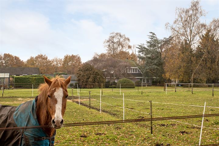 Bekijk foto 6 van Schotweg 14