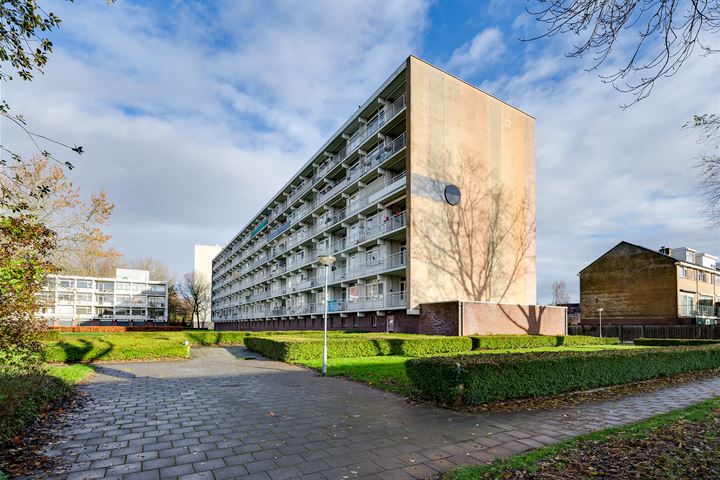 Bekijk foto 32 van Regenboogstraat 97