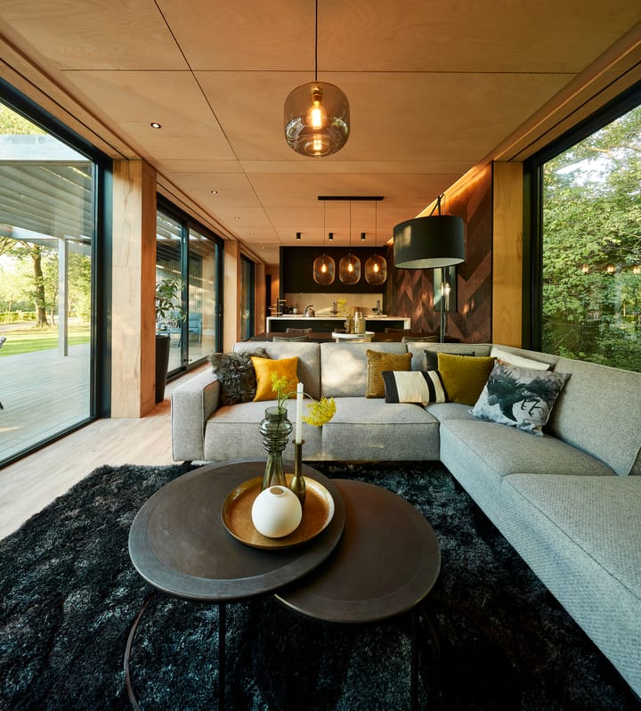 Photo 3 of Bos Villa (Bouwnr. 6.40)