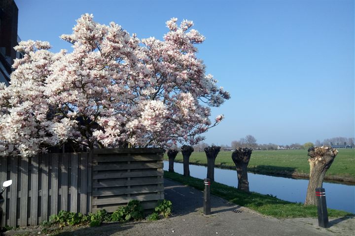 Bekijk foto 12 van Westerhoef 2