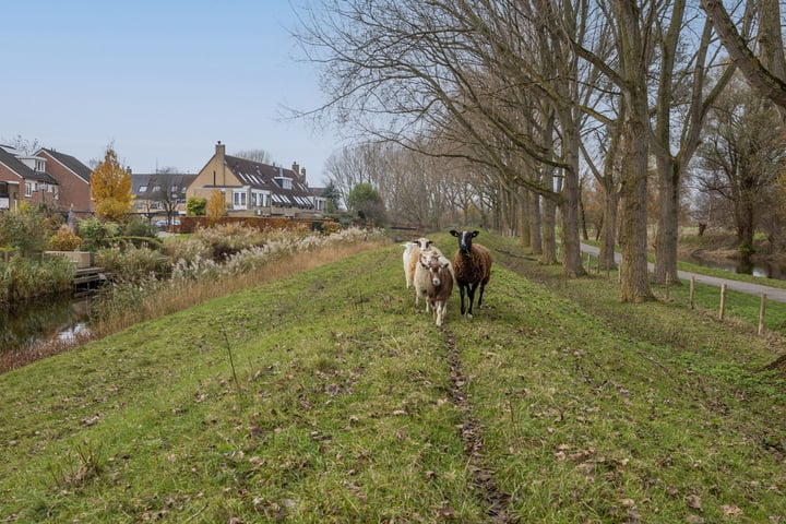 Bekijk foto 37 van Beekforel 82