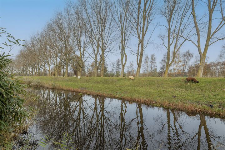 Bekijk foto 31 van Beekforel 82