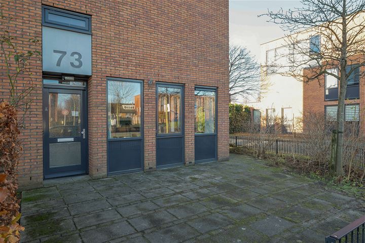 Bekijk foto 19 van Bolwerksepoort 73