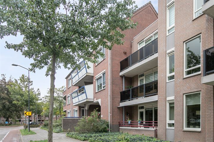 Bekijk foto 31 van Biggenstraat 60