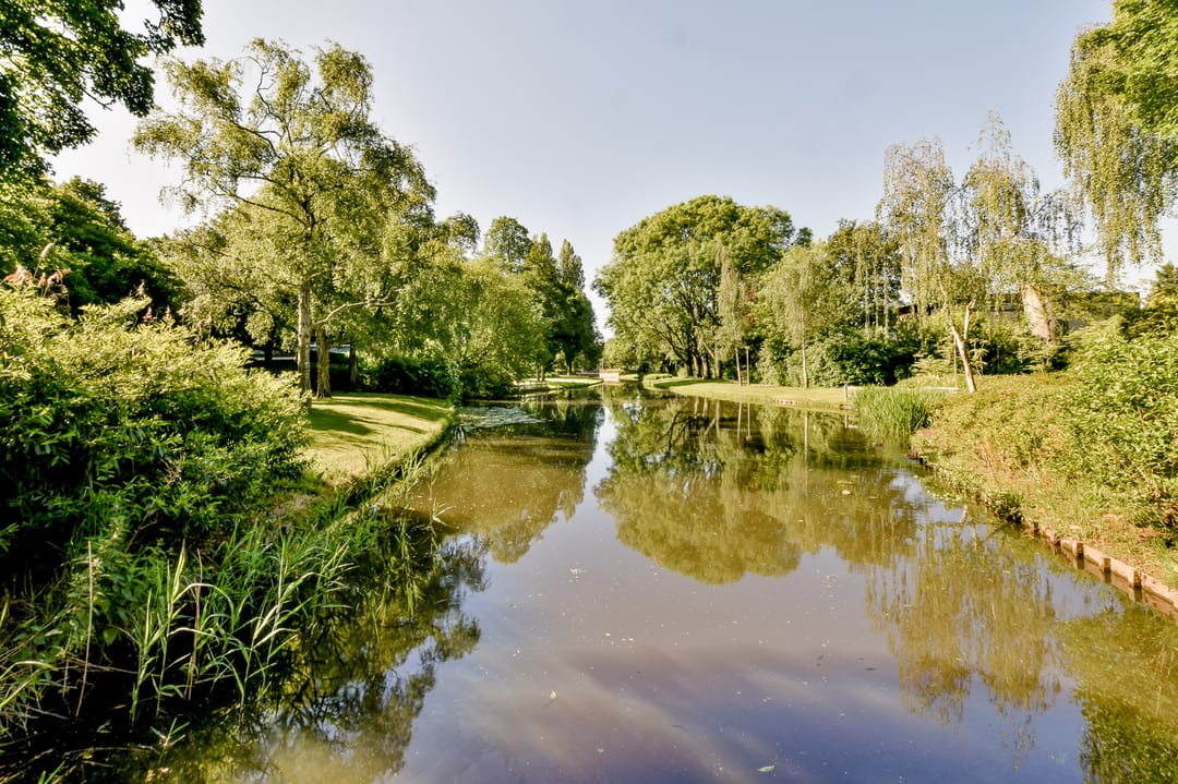 Foto 37 van De Roos van Dekama 20