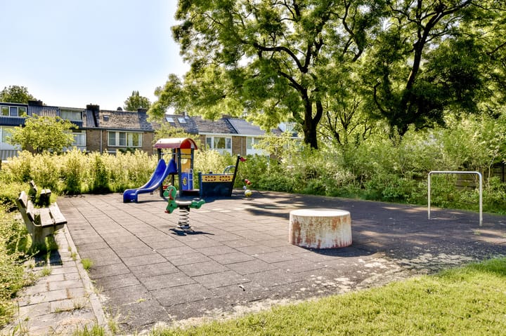 Foto 38 van De Roos van Dekama 20