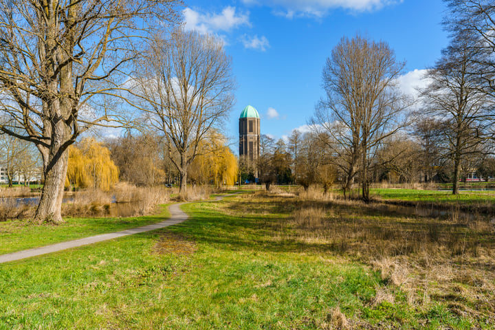 Bekijk foto 27 van Dommeringdreef 127