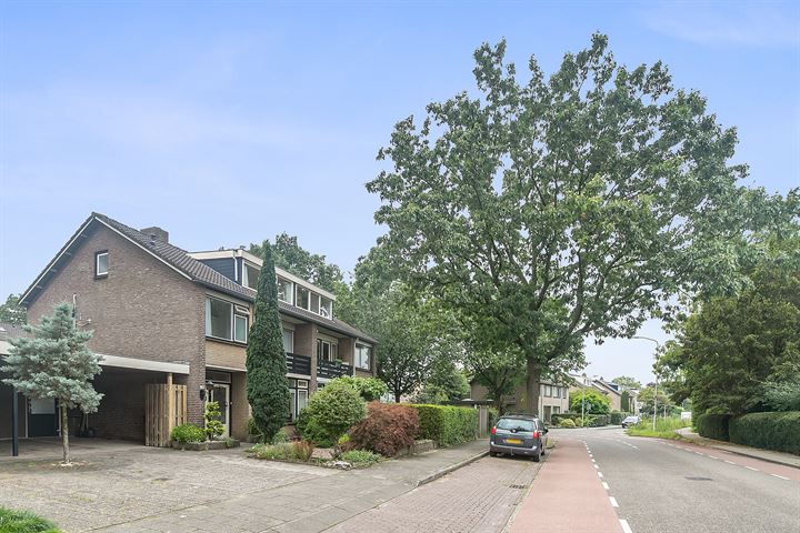 Bekijk foto 34 van Randwijksingel 113