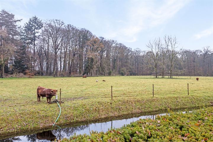 Bekijk foto 43 van Roolvinkstraat 2