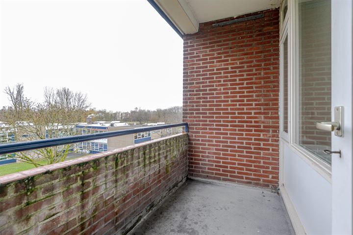 Bekijk foto 4 van Ruigoord 268