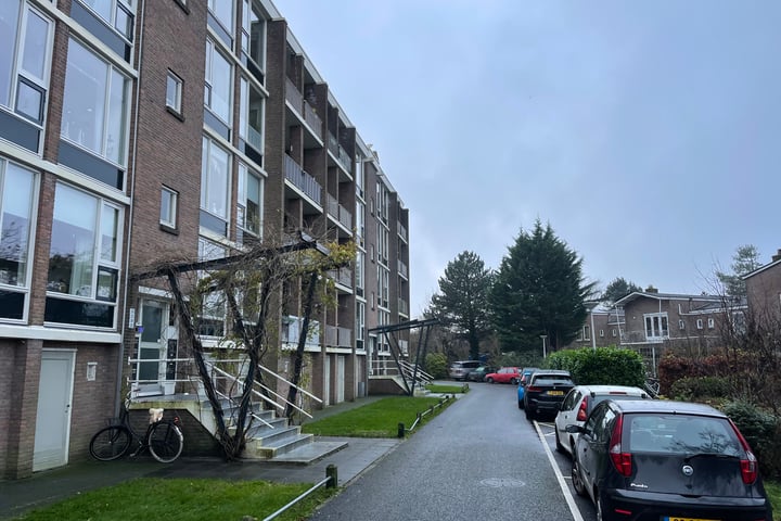 Bekijk foto 4 van Van Cuylenburchstraat 3