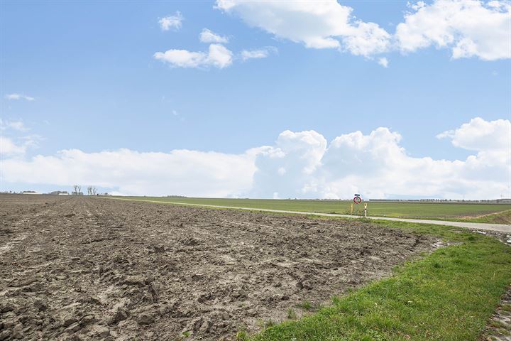 Bekijk foto 78 van Zuidhof 11-13