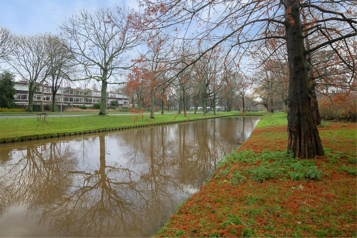 Bekijk foto 44 van Balsemkruid 46