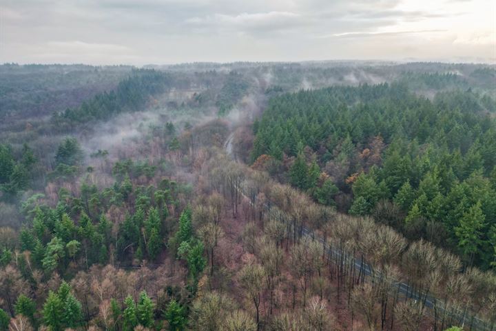 Bekijk foto 25 van Rhenendael 98