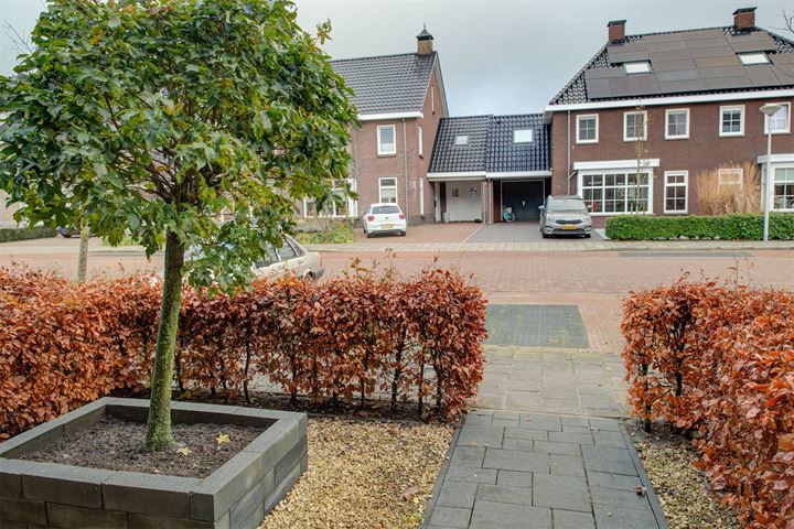 Bekijk foto 24 van Moerbeilaan 49