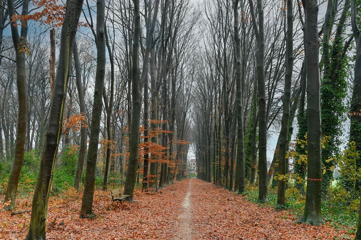 Bekijk foto 41 van De Vrijhof 2