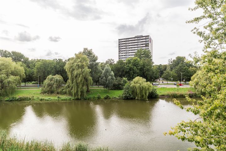 Bekijk foto 15 van Melis Stokezijde 264