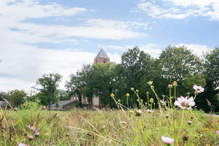 Bekijk foto 46 van Havelter Schapendrift 8