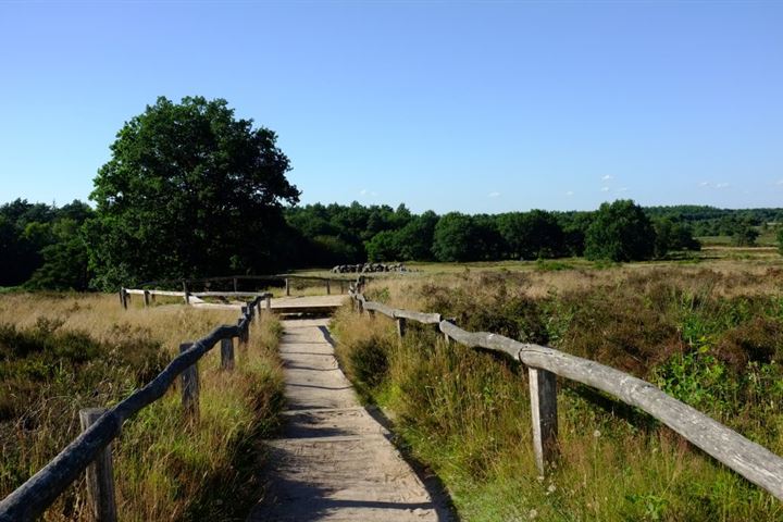 Bekijk foto 47 van Havelter Schapendrift 8