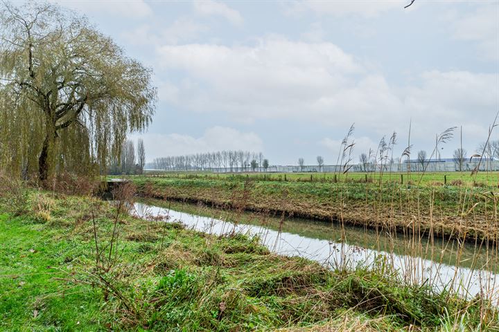 Bekijk foto 25 van Seringenplantsoen 479