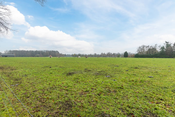 Bekijk foto 63 van Kleine Varenweg 12