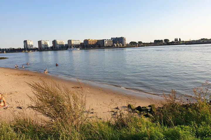 Bekijk foto 36 van Cor Kieboomplein 303