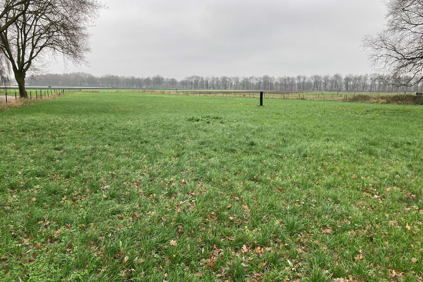 Bekijk foto 4 van Weg langs de Vulensbeek