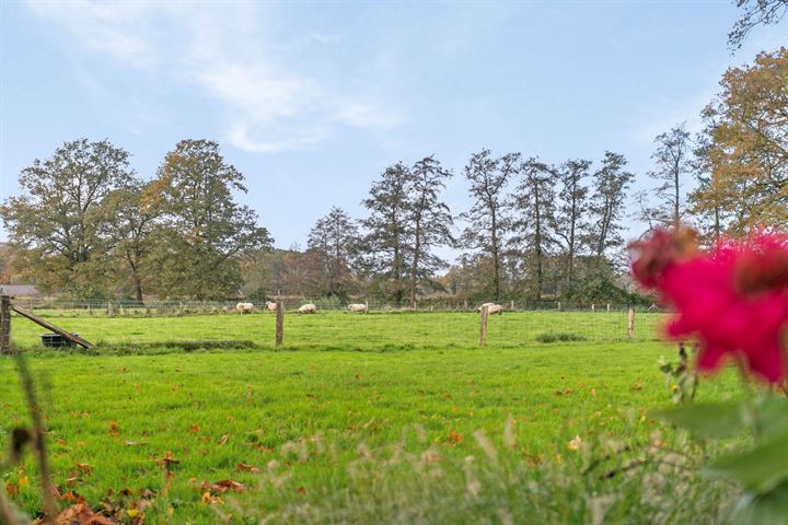 Bekijk foto 39 van Meester Thienweg 1