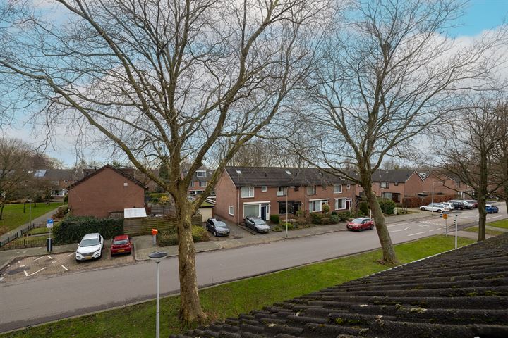 Bekijk foto 41 van Plataanstraat 16