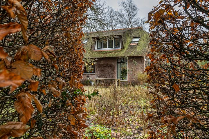 Bekijk foto 44 van Schipborgerweg 9