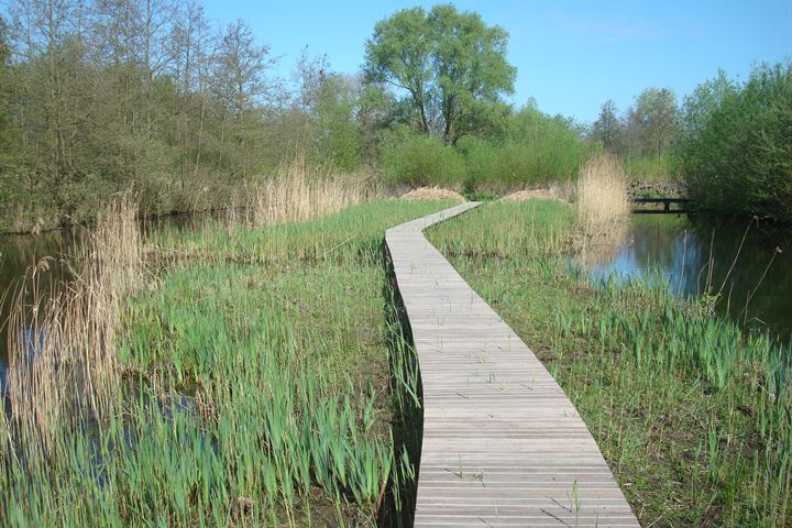 View photo 10 of Melody Island