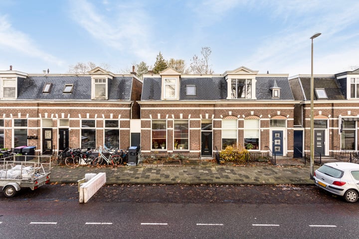 Bekijk foto 1 van Willem Lodewijkstraat 33