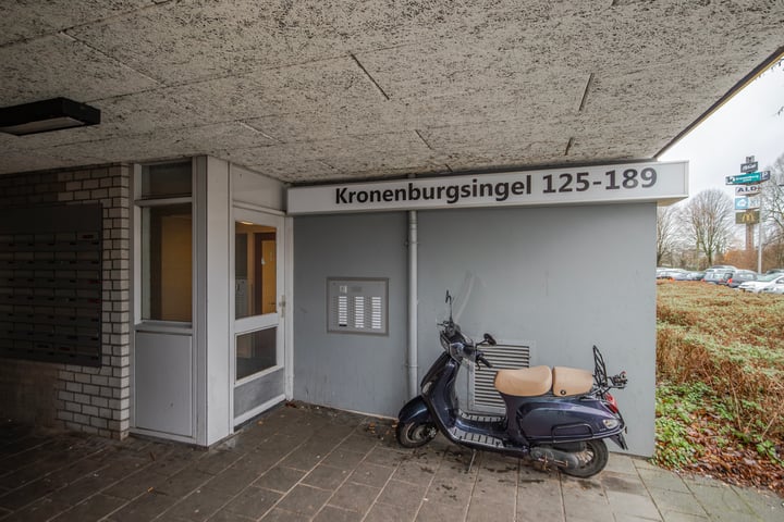 Bekijk foto 5 van Kronenburgsingel 181