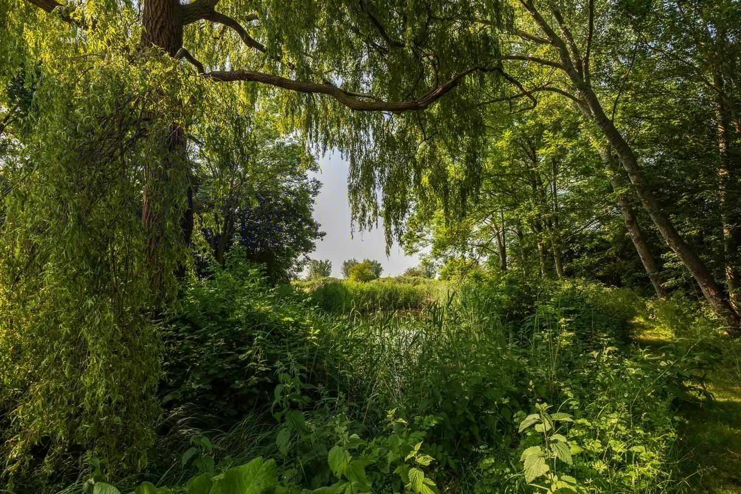 Photo 20 of Frederik Barbarossaweg 2