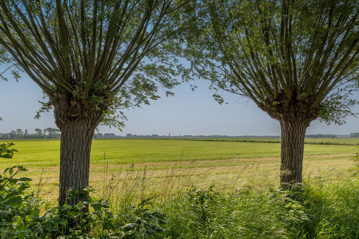 Photo 25 of Frederik Barbarossaweg 2