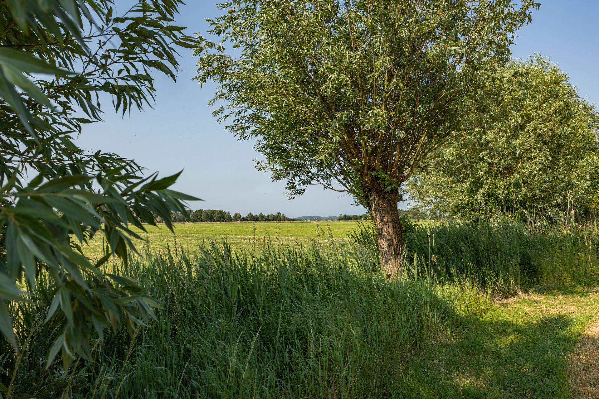 Photo 24 of Frederik Barbarossaweg 2