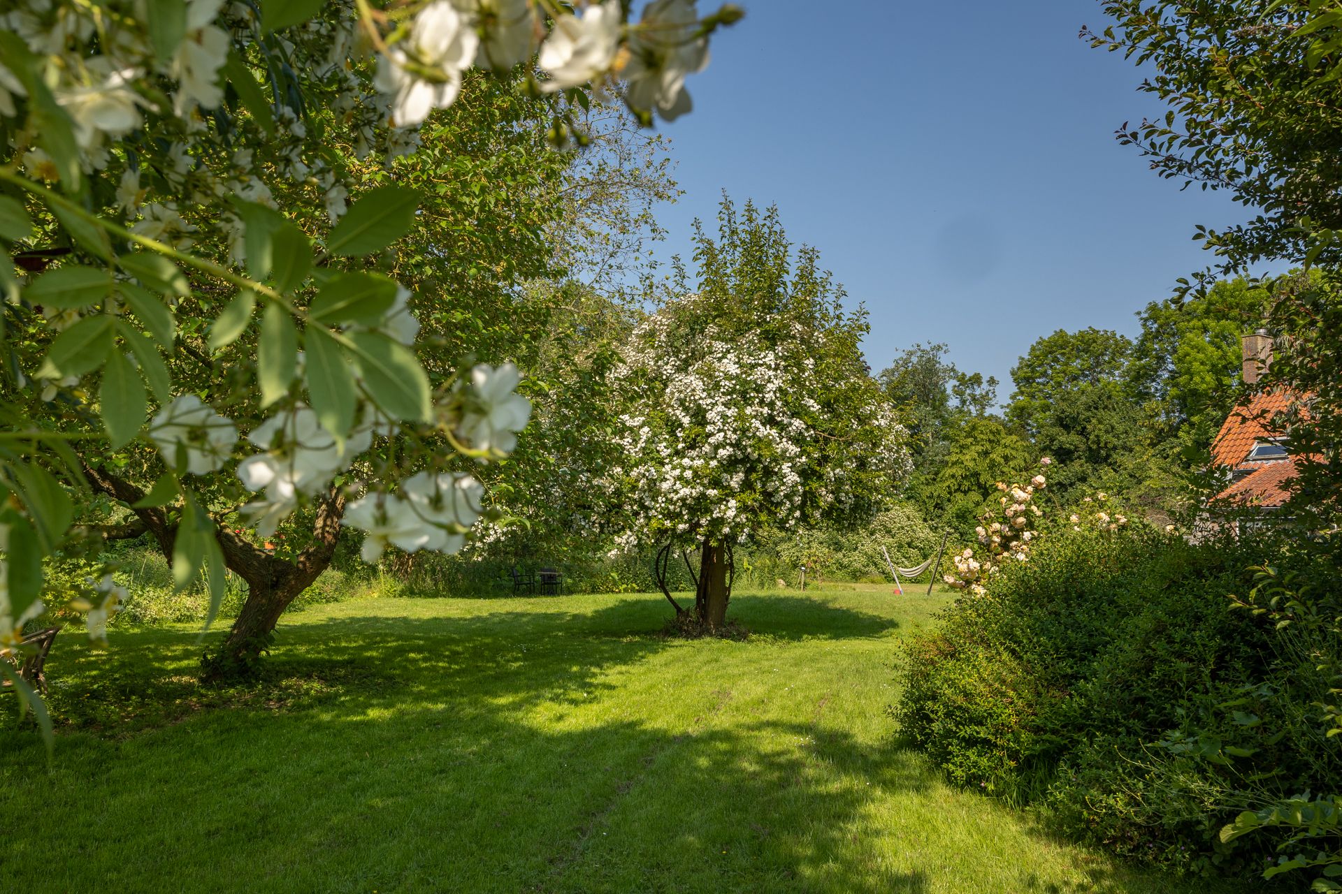 Photo 27 of Frederik Barbarossaweg 2